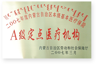 2007年度内蒙古自治区本级基本医疗保险A级定点医疗机构
